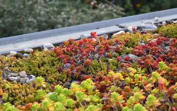 the cost of Bancyfelin green roof installation
