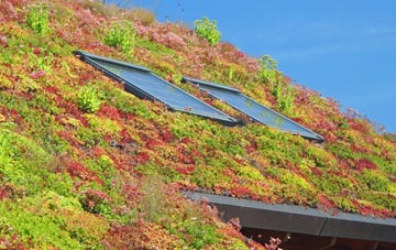 Bancyfelin living roof systems
